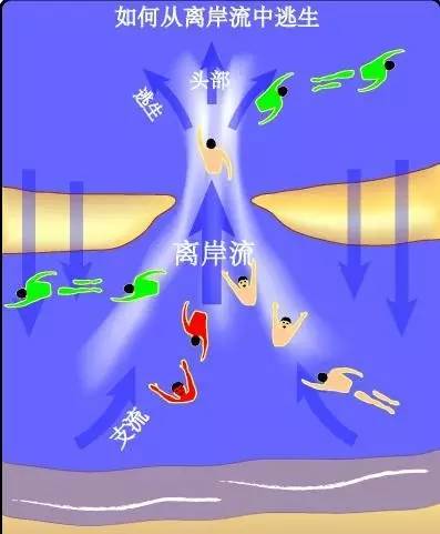 去海边玩水前，我才知道离岸流有多可怕！