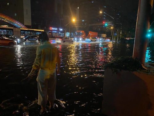 市民自发清理排水口