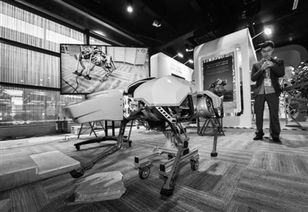 科技展览会上展示的智能机器人
