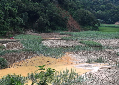 广西山洪过后农田被毁