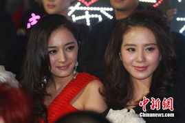 杨幂与刘诗诗久违同框引发关注