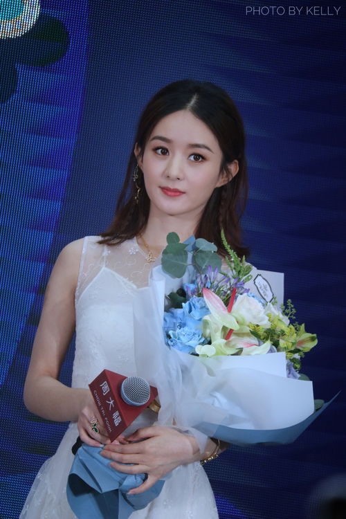 赵丽颖品牌活动造型