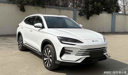 比亚迪宋PLUS DM-i智驾版内饰展示