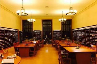 国际学生在哈佛图书馆学习