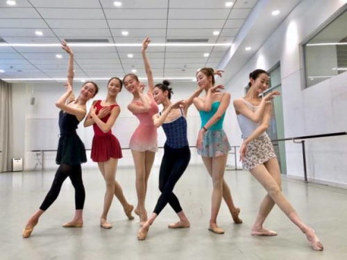 朱洁静春晚前放化疗25次：舞者与命运的抗争，她用生命诠释《朱鹮》