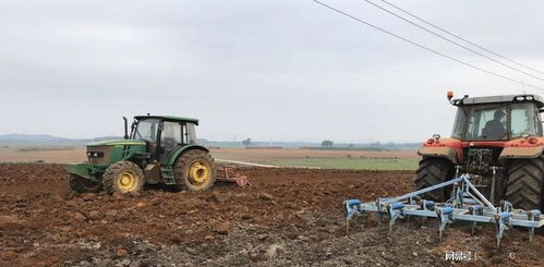 农田边堆放着几个柴油桶