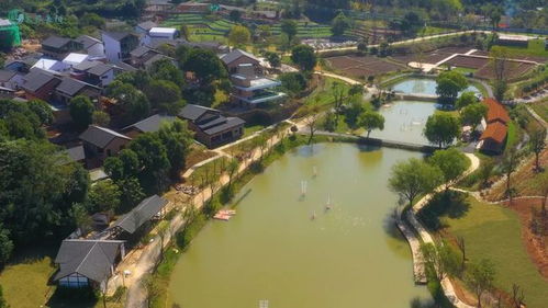 《曙光创业队》：在时代浪潮中书写青春与家族的传奇