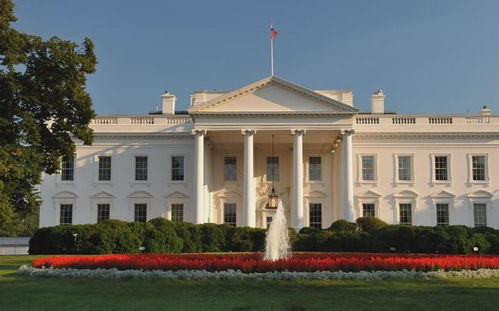 特朗普怕了？从贸易战到马斯克支持，他到底在担心什么？