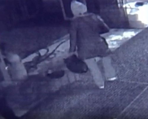 模拟案发现场示意图