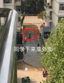 20岁大学生校园坠亡化粪池，亲属痛心：命运为何如此残酷？
