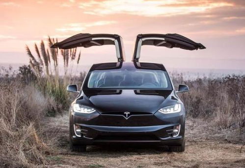 比亚迪电动车与特斯拉同场竞技