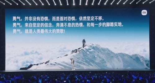 雷军在发布会上演讲现场照片