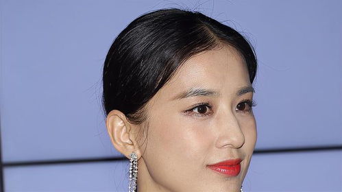 天价耳环风波背后：一场关于廉洁与真相的全民拷问