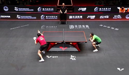 陈幸同专注击球