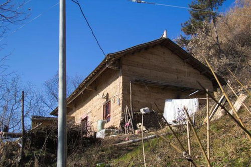 离铁轨0.8米的房子住了44年，我与火车轰鸣声的岁月故事