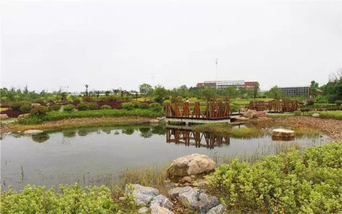 孩子们在公园草坪上放风筝玩耍