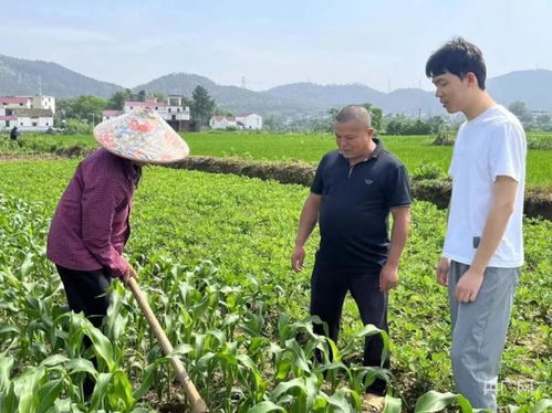 年轻干部在田间地头调研图片