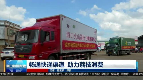 现代快递运输荔枝