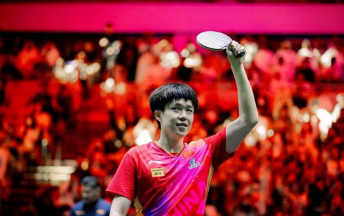 王楚钦孙颖莎多次夺冠合影