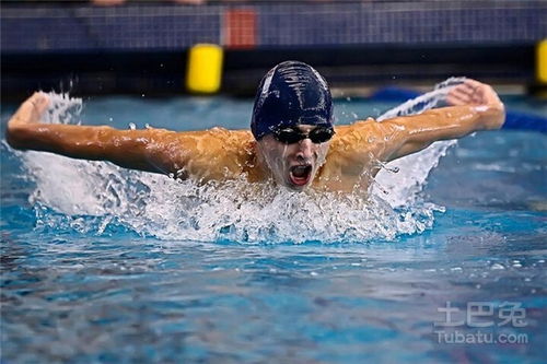 学员蝶泳动作改进前后对比图