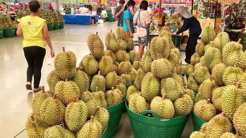 泰国榴莲市场