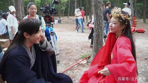 杨紫在片场认真排练画面