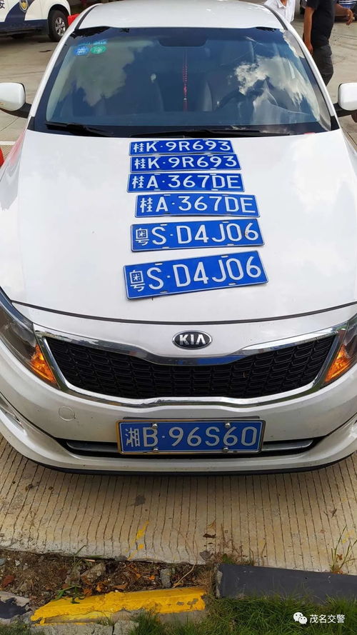 交警在高速服务区设卡检查车辆