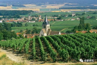 法国葡萄园与葡萄酒产业