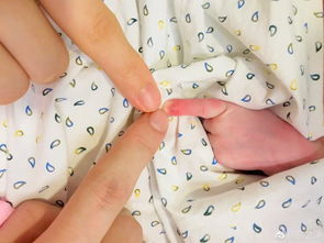 薛之谦与宝宝合照