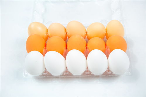 捏捏玩具特写图