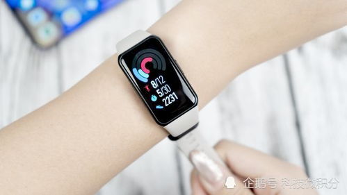 运动越多越好？别让健康变成负担！