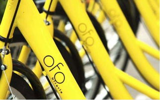 初创公司创始人接受采访分享经验