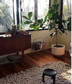 绿之生｜我在城市缝隙中找到了属于自己的绿色小宇宙