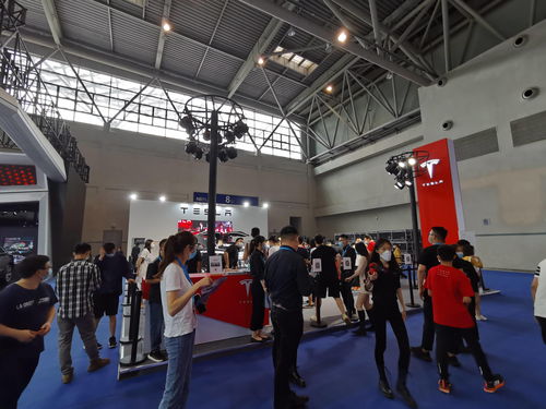 特斯拉展厅销售顾问与顾客交流