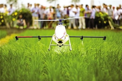 植保无人机在农田上空喷洒农药