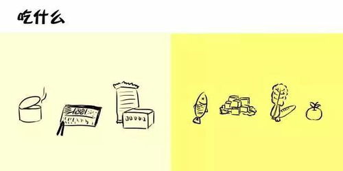 断舍离前后的房间对比图