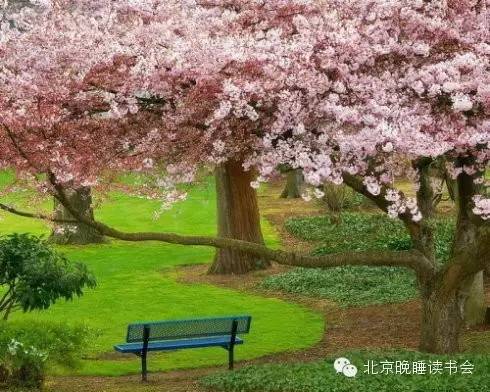 《曾逢君时花照眼》完整版大结局来了！看完后我彻底破防了...