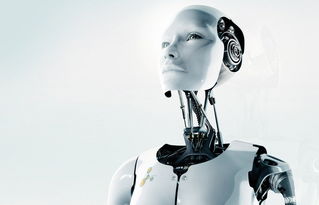 选拔大赛一燃爆全网！AI+楚文化碰撞出青年创意新火花