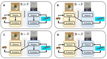 机器人之间的对话场景