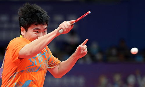 王楚钦和梁靖崑握手致意