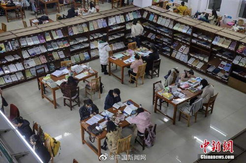 学生在图书馆学习