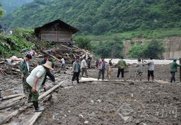 老人因泥石流遇难，死亡证明却显示“心脏停搏死于家中”？真相令人震惊！