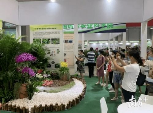 农业科技展会上展出的智能农机