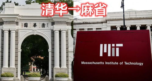 中美高校对比图表