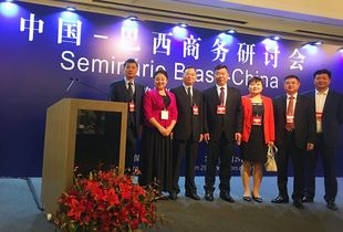 中国企业代表在巴西参加商务洽谈