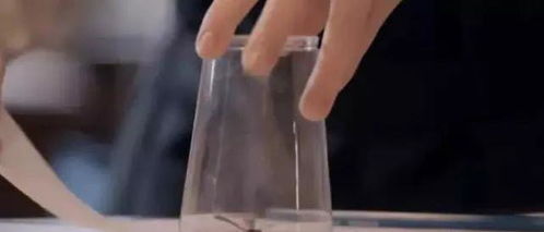 从零开始的表演艺术修炼：我的真实心得分享