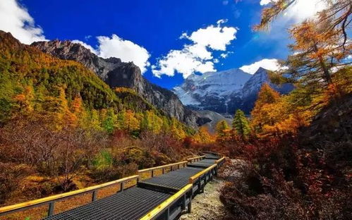 女子旅游突发悲剧 高反背后真相令人揪心