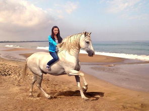 震惊全球！印度30岁男子因性侵马匹被捕，社会舆论哗然