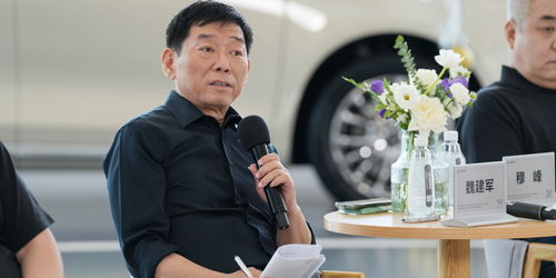 魏建军的警告为何能引发全行业共鸣？