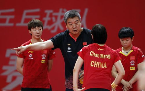 陈梦与王曼昱赛场瞬间